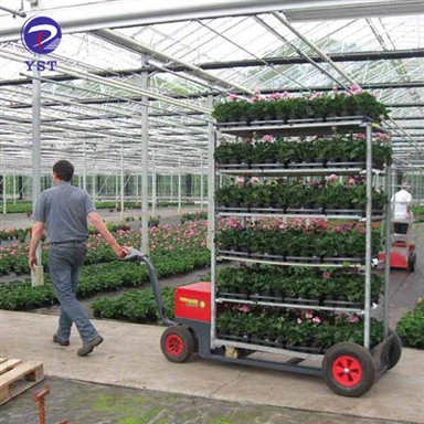 ترولی ظرف گل
