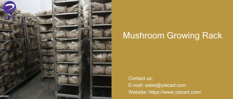 Mushroom Growing Rack Mushroom Growing Rack