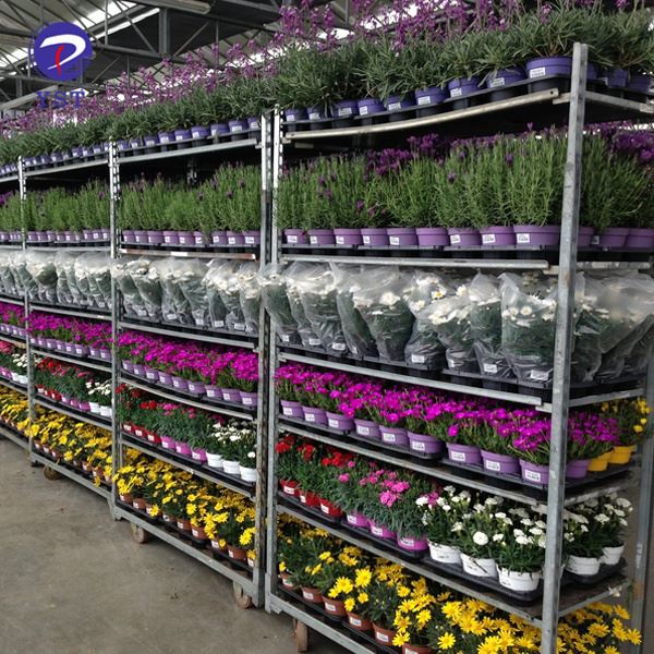 Greenhouse Nursery Carts
