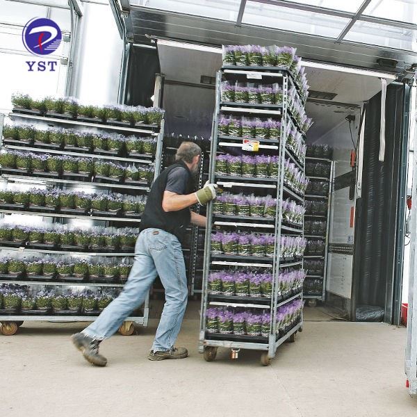 Flower Greenhouse Transport Cart