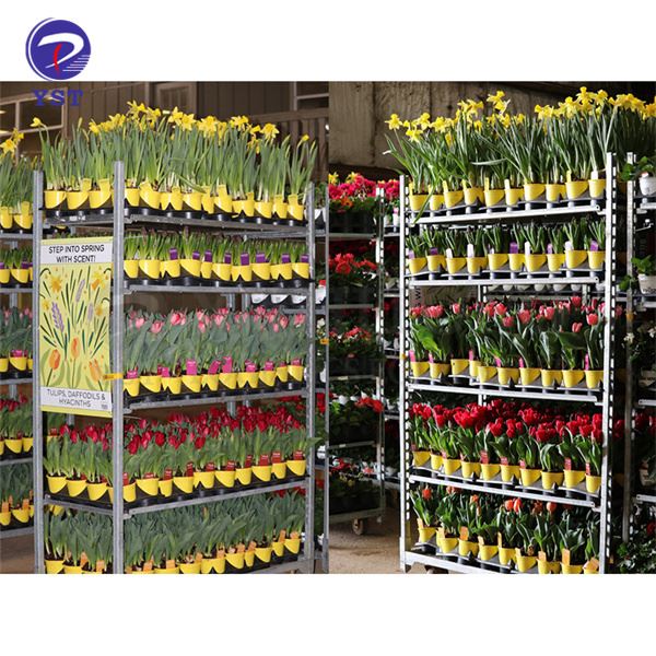چرخ دستی های فلزی نورد گیاهان Transprotation