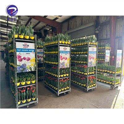 چرخ دستی گیاهان گلخانه ای