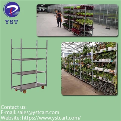 راهنمای نهایی برای چرخ دستی هلندی برای سوله های گلخانه ای
