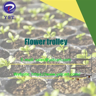 نکاتی برای انتخاب چرخ دستی گل مناسب برای نیازهای کشت نهال دارویی