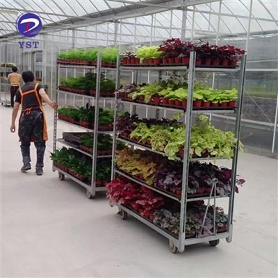 چرخ دستی حمل و نقل مهد کودک